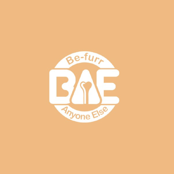 BAE-logo design services pune